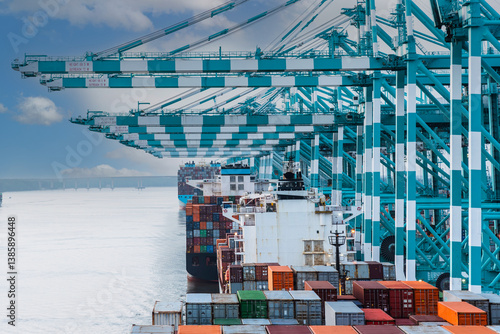 Photography Tanjung Pelepas container terminal - view on the containers and gantry cranes during cargo operations in that big international transport hub