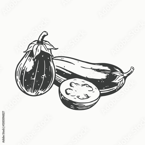 Fresh eggplant vegetable. Eggplant or aubergine vegetable illustration in a vintage