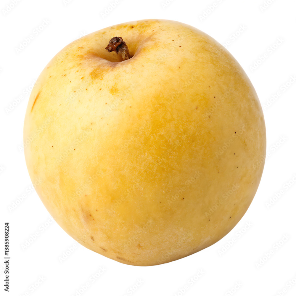 A whole marula fruit isolated on a transparent background A whole marula fruit isolated on a transparent background