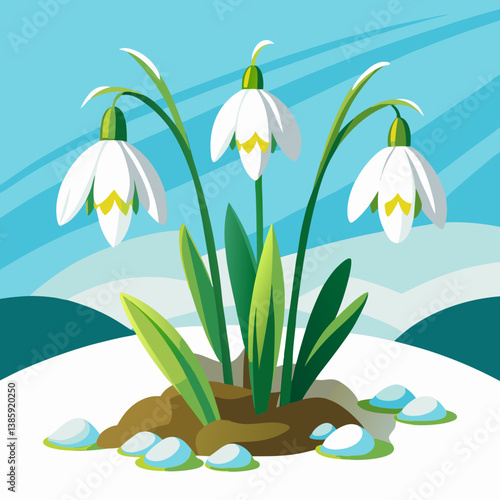 snowdrop flowers in the snow