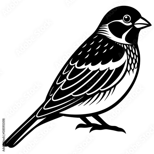 Sparrow Vector Illustration – Cartoon Clipart & Line Art Printable Design