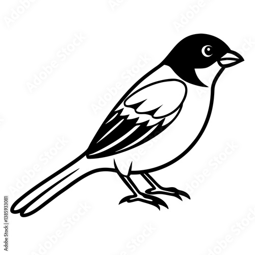 Sparrow Vector Illustration – Cartoon Clipart & Line Art Printable Design