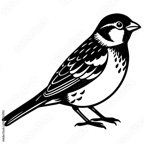 Sparrow Vector Illustration – Cartoon Clipart & Line Art Printable Design