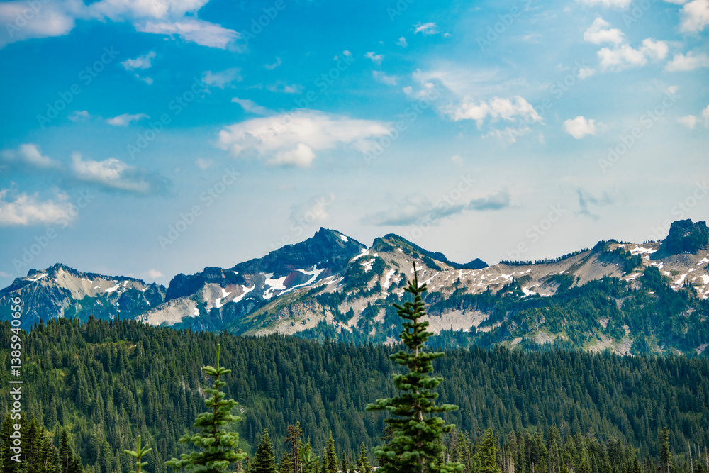 Obraz premium Scenery landscape of mountain. Scenery coniferous forest. Pine tree and mountain forest landscape. Mountain landscape. Forest nature mount. Nature in mountain countryside. Breathtaking wilderness