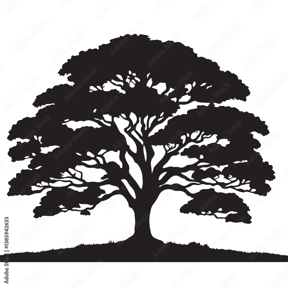 Fototapeta premium Vector silhouettes of old oak trees illustrate seasonal growth in a black forest landscape