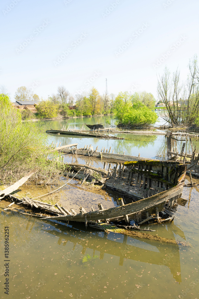 The cemetery of the Burci, typical Venetian merchant boats from the early 1900s once used for river trade, in a bend of the Sile River near Casale sul Sile, near the city of Treviso, Italy