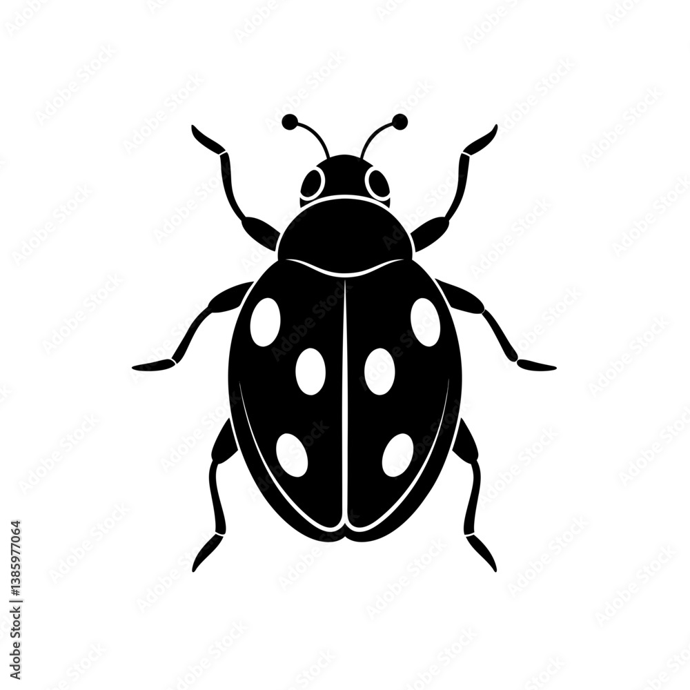 vector illustration of a ladybug vector illustration of a ladybug