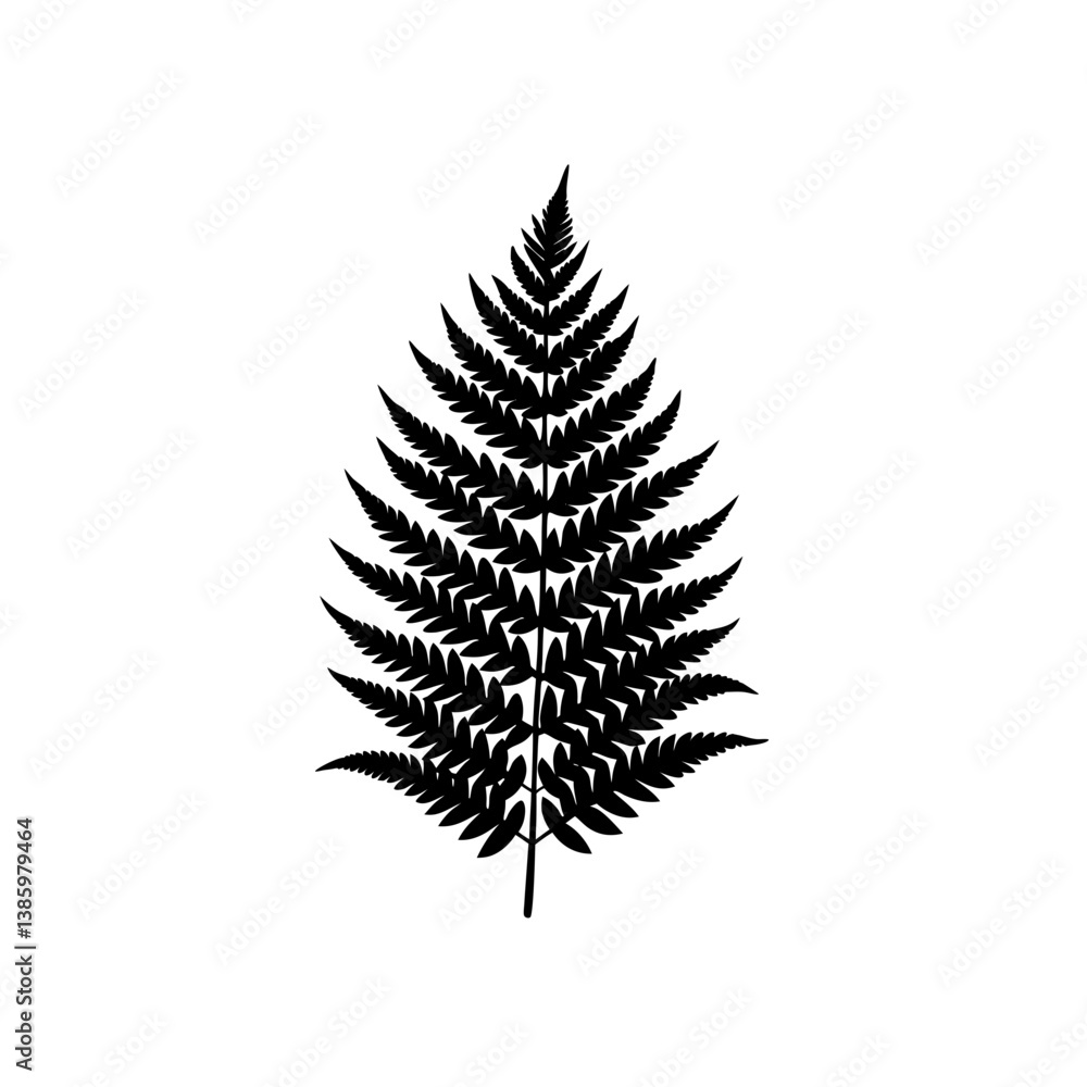 Fototapeta premium fern leaf isolated on white