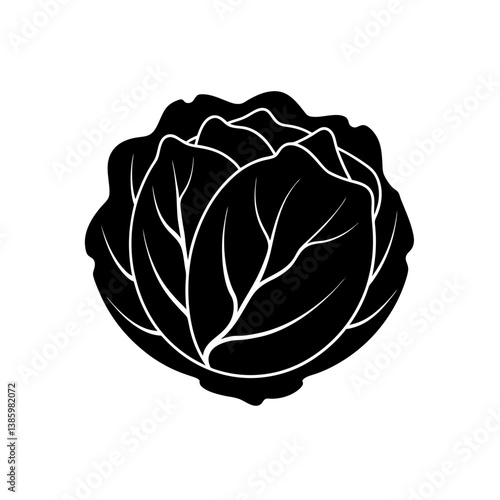 cabbage isolated on white background