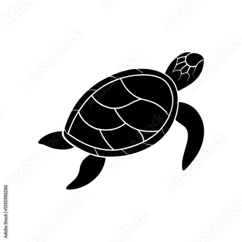 vector illustration of turtle
