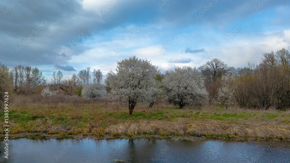 Aerial view of a blooming tree and season occurring in April during spring, with typical spring weather and a vibrant natural background. Aerial view of a blooming tree and season occurring in April during spring, with typical spring weather and a vibrant natural background.