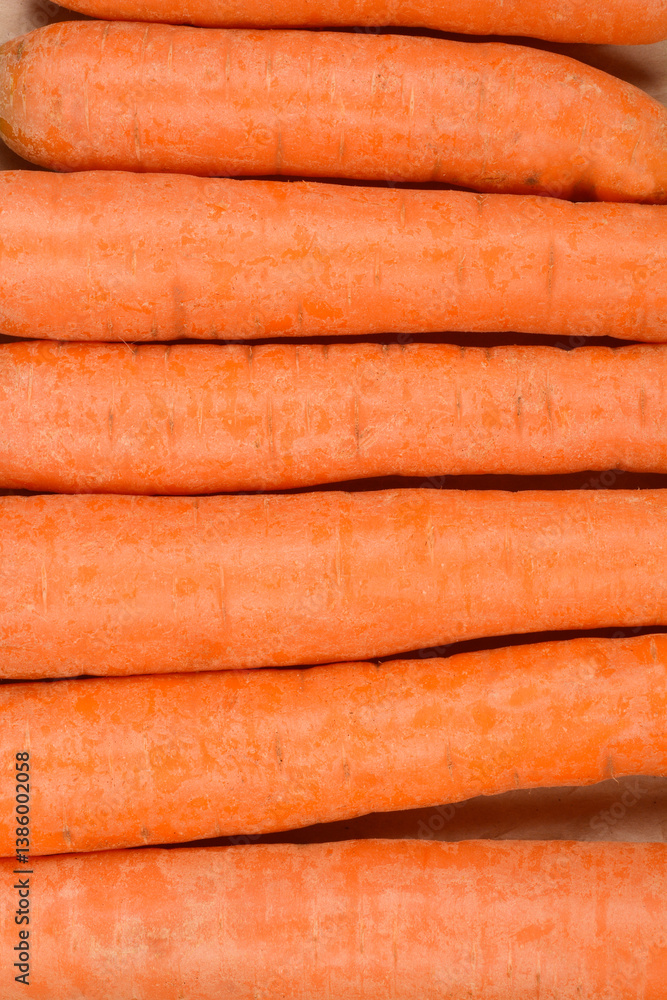 A close-up view shows several fresh carrots laid side by side, emphasizing their orange color and texture A close-up view shows several fresh carrots laid side by side, emphasizing their orange color and texture