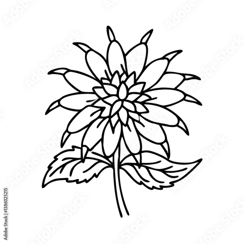 bee balm flower icon, bee balm flower line art - simple line art of bee balm flower, perfect for bee balm flower logos and icons