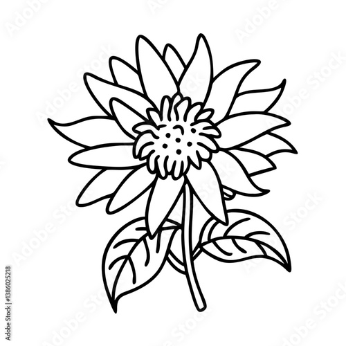 bee balm flower icon, bee balm flower line art - simple line art of bee balm flower, perfect for bee balm flower logos and icons