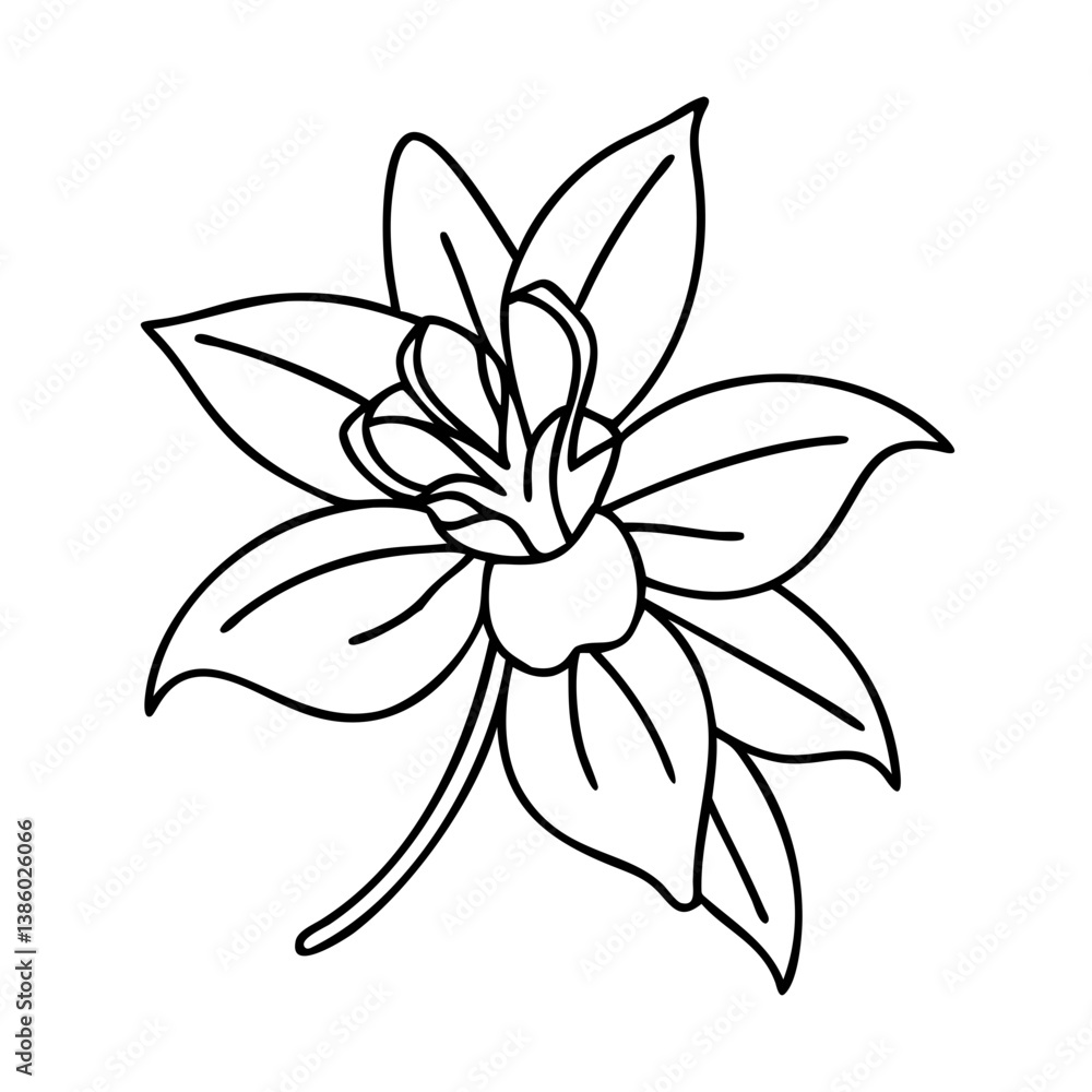 Obraz premium columbine flower icon, columbine flower line art - simple line art of columbine flower, perfect for columbine flower logos and icons