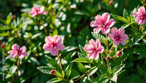 Lush Green Foliage Enhances Delicate Pink Flowers