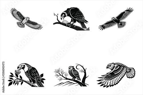 Owls silhouette