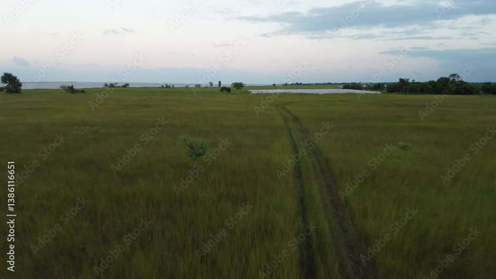 Drone view Drone view