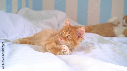 A little ginger kitten lies on the bed. The kitten lies on the bed and looks around.