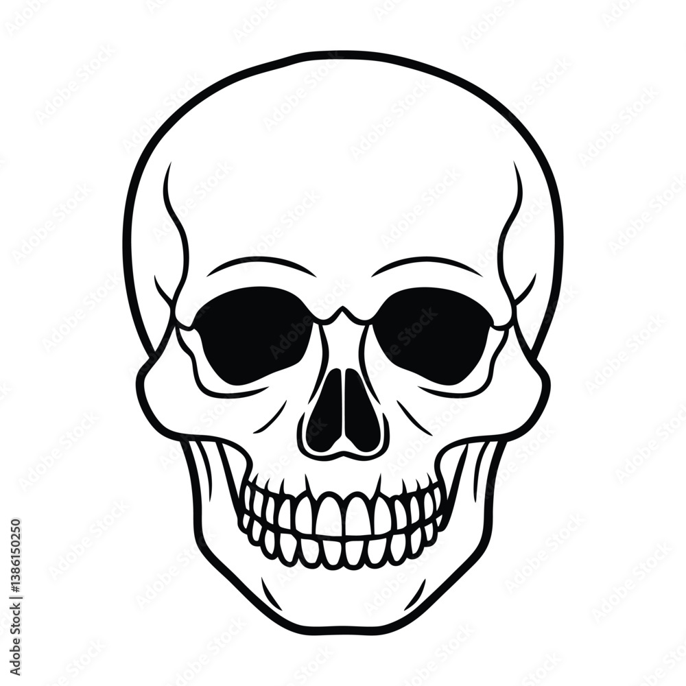 human skull vector human skull vector