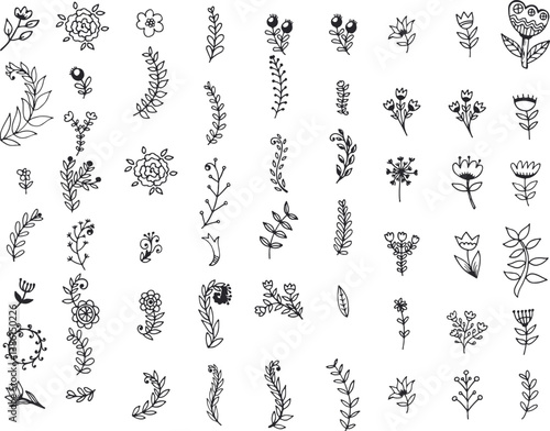 Stylish Nature-Inspired Vector Set for Web, Print & Packaging Design