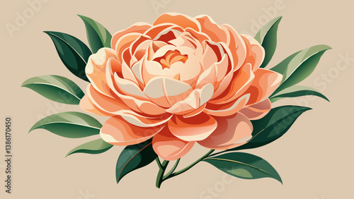 Peachy peony flower on neutral pastel beige background. Minimal stylish still life floral composition