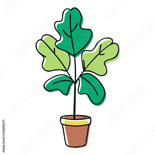 Potted fiddle leaf fig plant in a decorative pot  