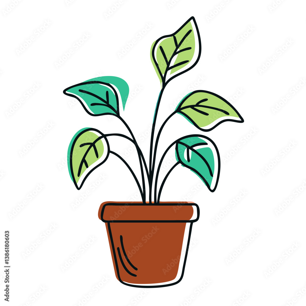 Fototapeta premium Potted neoregalia plant growing vibrantly in a stylish pot