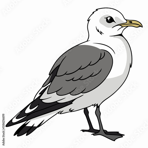 Full-body image of a Black-legged Kittiwake bird with striking white and black feathers.