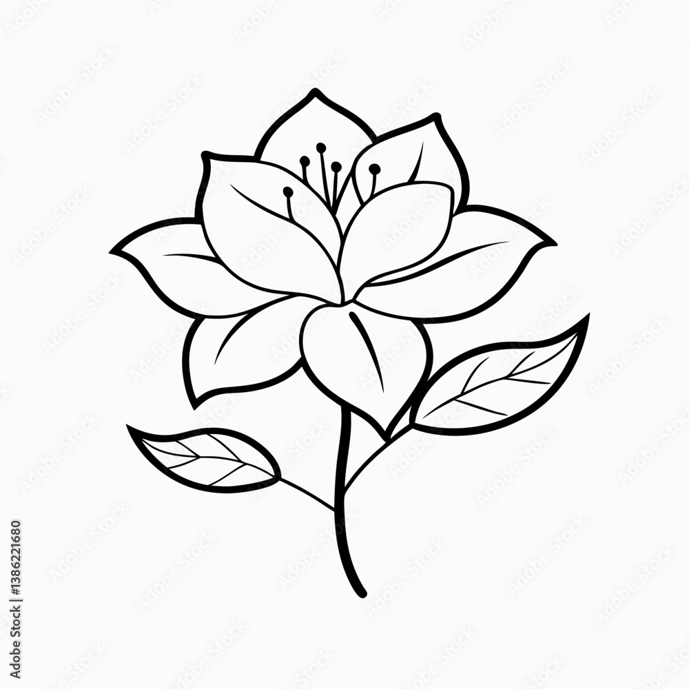 Obraz premium vector illustration of a azalea flower