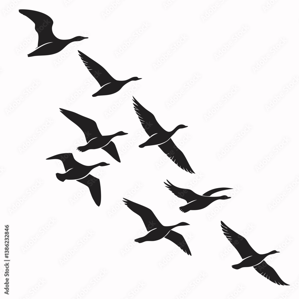 Obraz premium Silhouette of a flock of birds flying, isolated over a white background. Vector illustration