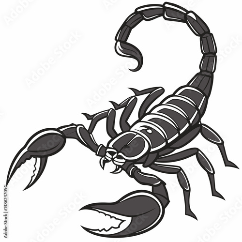 Vector illustration of a black spitting scorpion, detailed and realistic design for use in digital projects