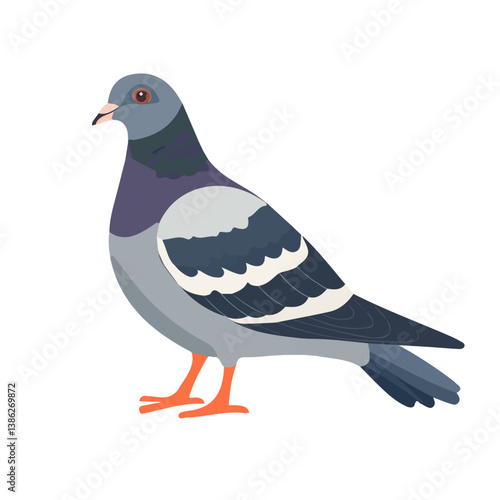 Flat vector pigeon, minimalist design, isolated on a white background.

