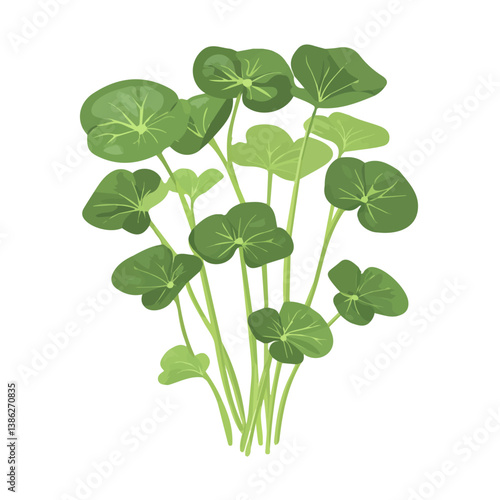 Flat vector Brahmi, minimalist design, isolated on a white background.

