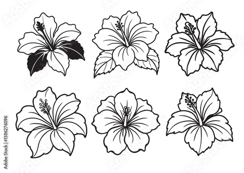 Hibiscus flower Silhouette vector