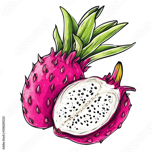 Dragon Fruit 2D flat vector illustration, isolated on a white background.