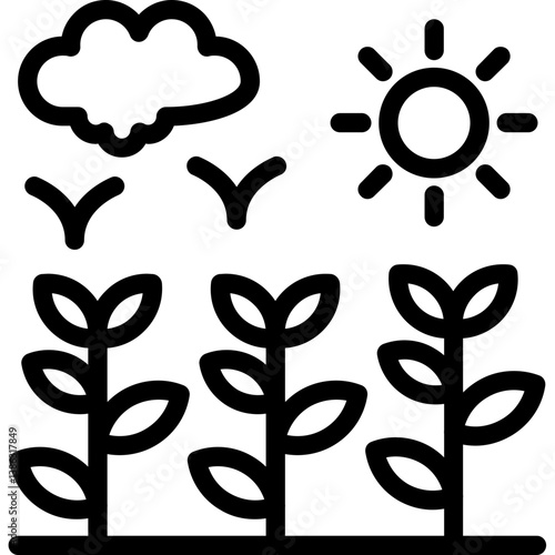 Community Garden