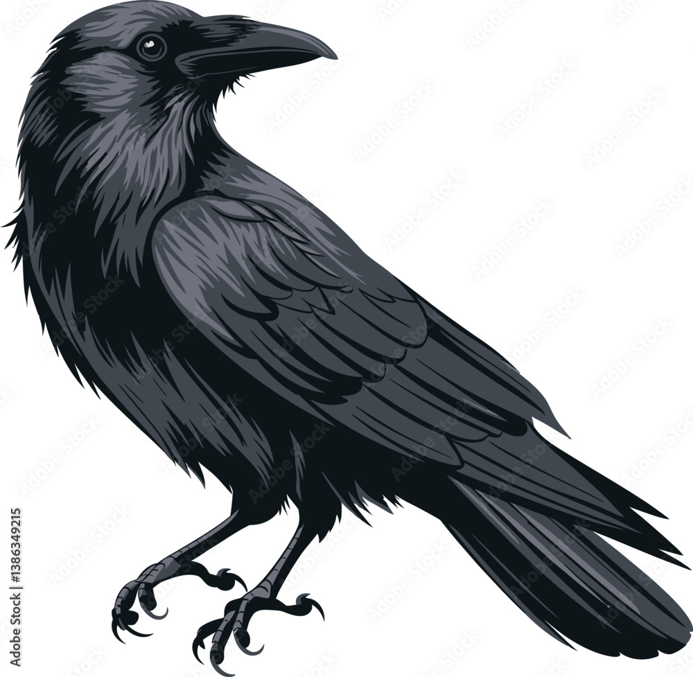 Fototapeta premium a illustrator vector crow