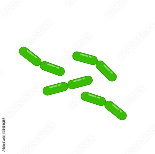 Diplobacillus bacteria morphology. Vector illustration in flat style.