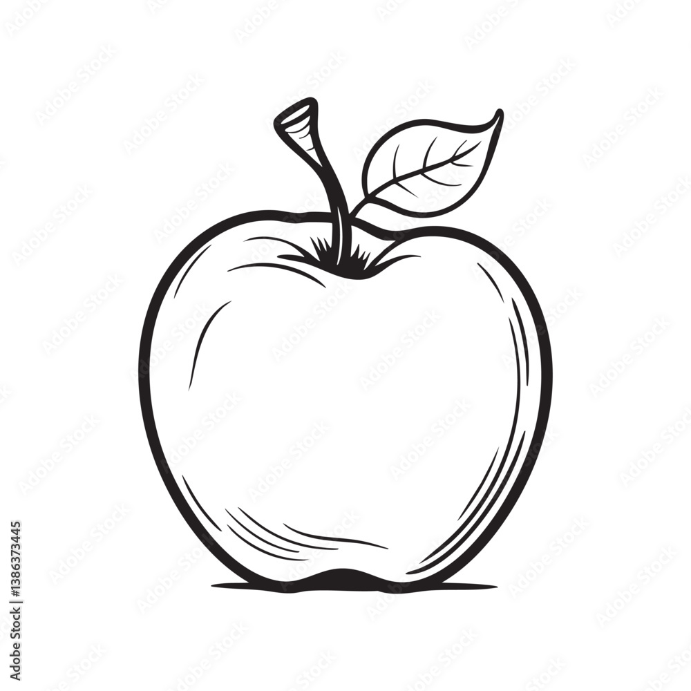 apple vector illustration apple vector illustration
