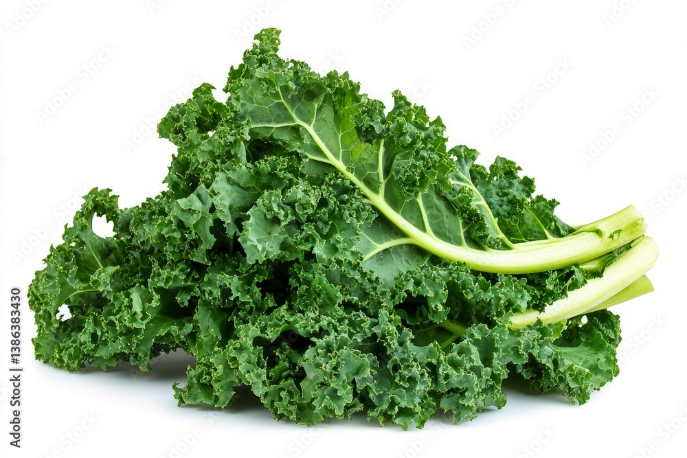 Fresh Green Curly Kale Bunch Isolated on White Background for Cooking Fresh Green Curly Kale Bunch Isolated on White Background for Cooking