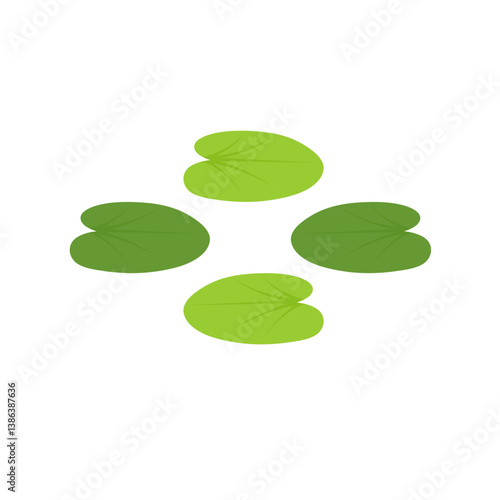 Duckweed lemna minor illustration 