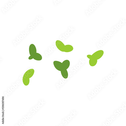 Duckweed lemna minor illustration 