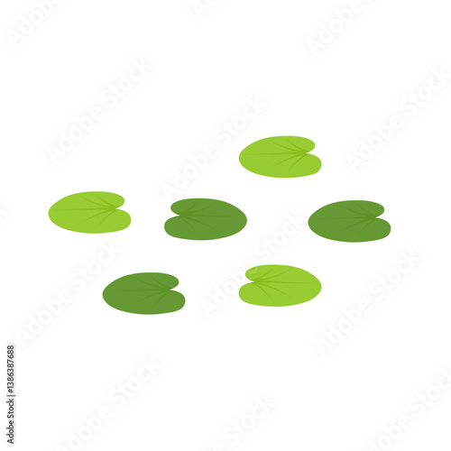 Duckweed lemna minor illustration 