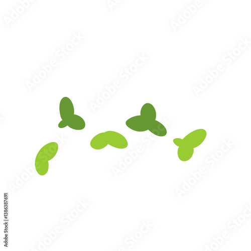 Duckweed lemna minor illustration 