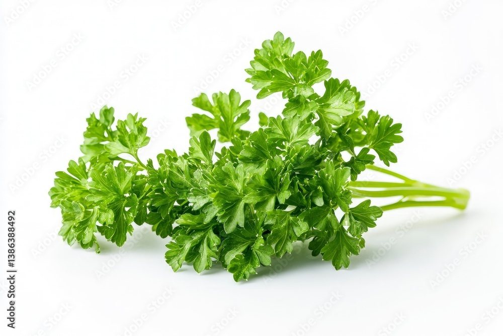Fresh Parsley Bunch on White Background Close-up for Culinary Use Fresh Parsley Bunch on White Background Close-up for Culinary Use