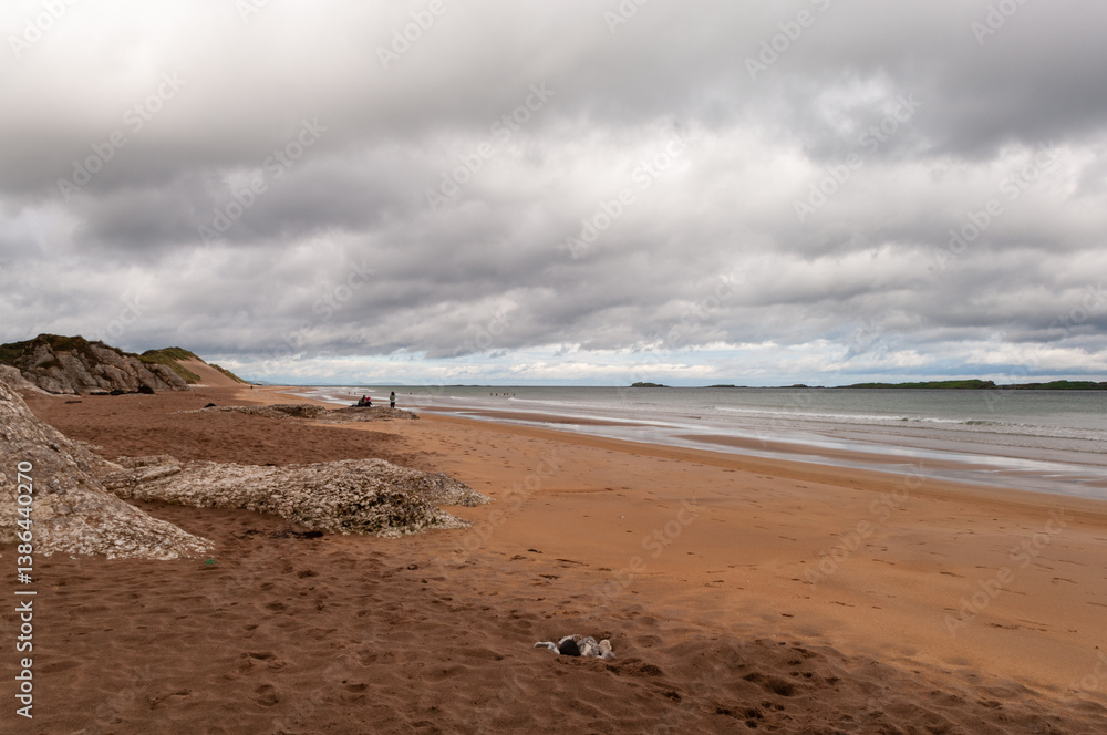 A beach with a cloudy sky in the background