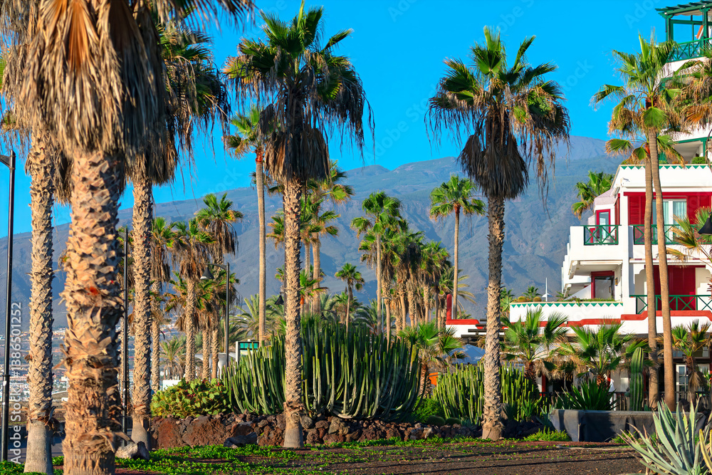 Tropical promenade with palm trees, cacti, and a white resort building under clear blue skies. Mountains in the background add depth to this vibrant, sunny travel destination
