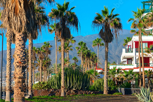 Obraz na płótnie Tropical promenade with palm trees, cacti, and a white resort building under clear blue skies. Mountains in the background add depth to this vibrant, sunny travel destination w salonie