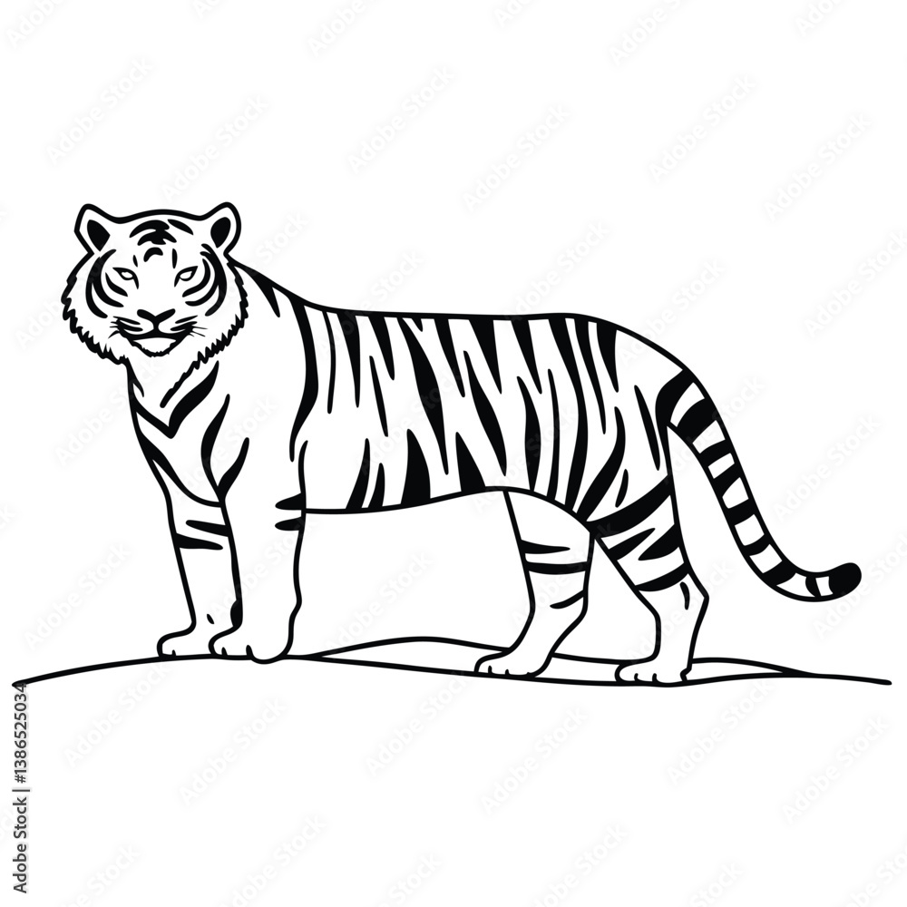 tiger solid white background line art black white vector tiger solid white background line art black white vector